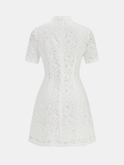 Cheongsam Style Lace Short Sleeve Dress