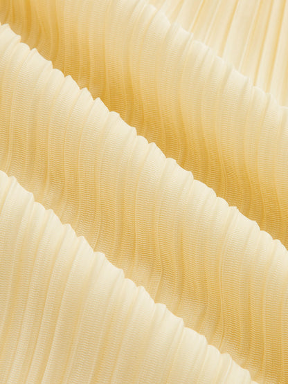 Pleated Layered Ruffle Skirt Set