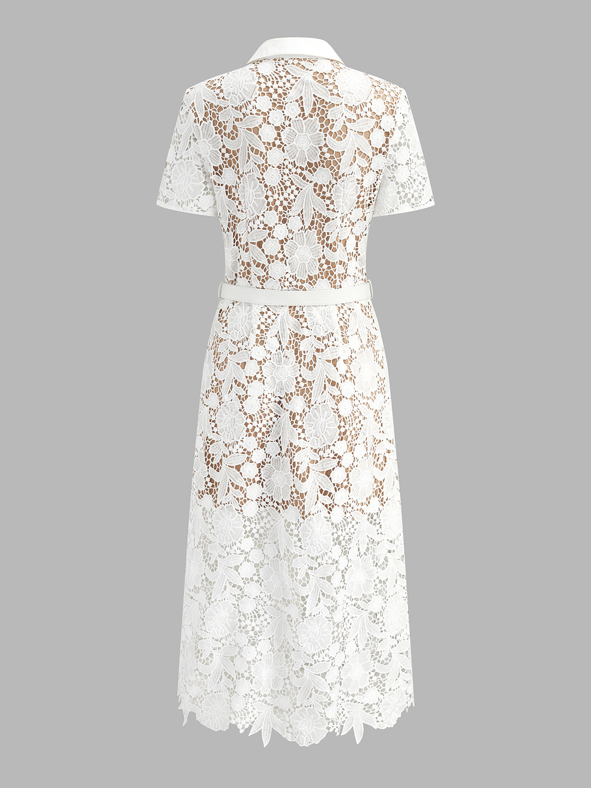 Belted Guipure Lace Shirt Midi Dress