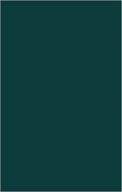 Bridesmaid Fabric Swatch ~ Emerald Chiffon